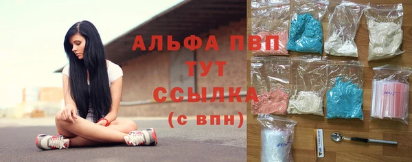 spice Каменка
