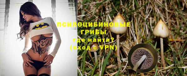 spice Каменка