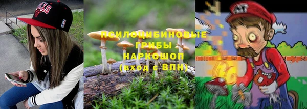гидра Каменск-Шахтинский