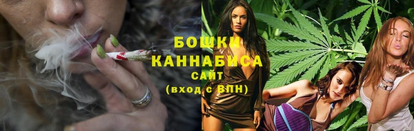spice Каменка