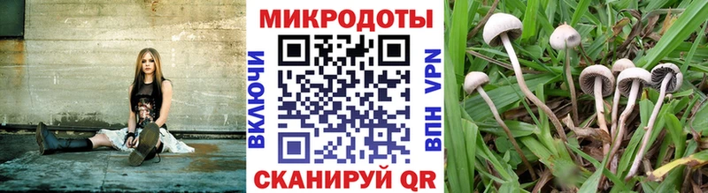 Псилоцибиновые грибы мицелий Горячеводский